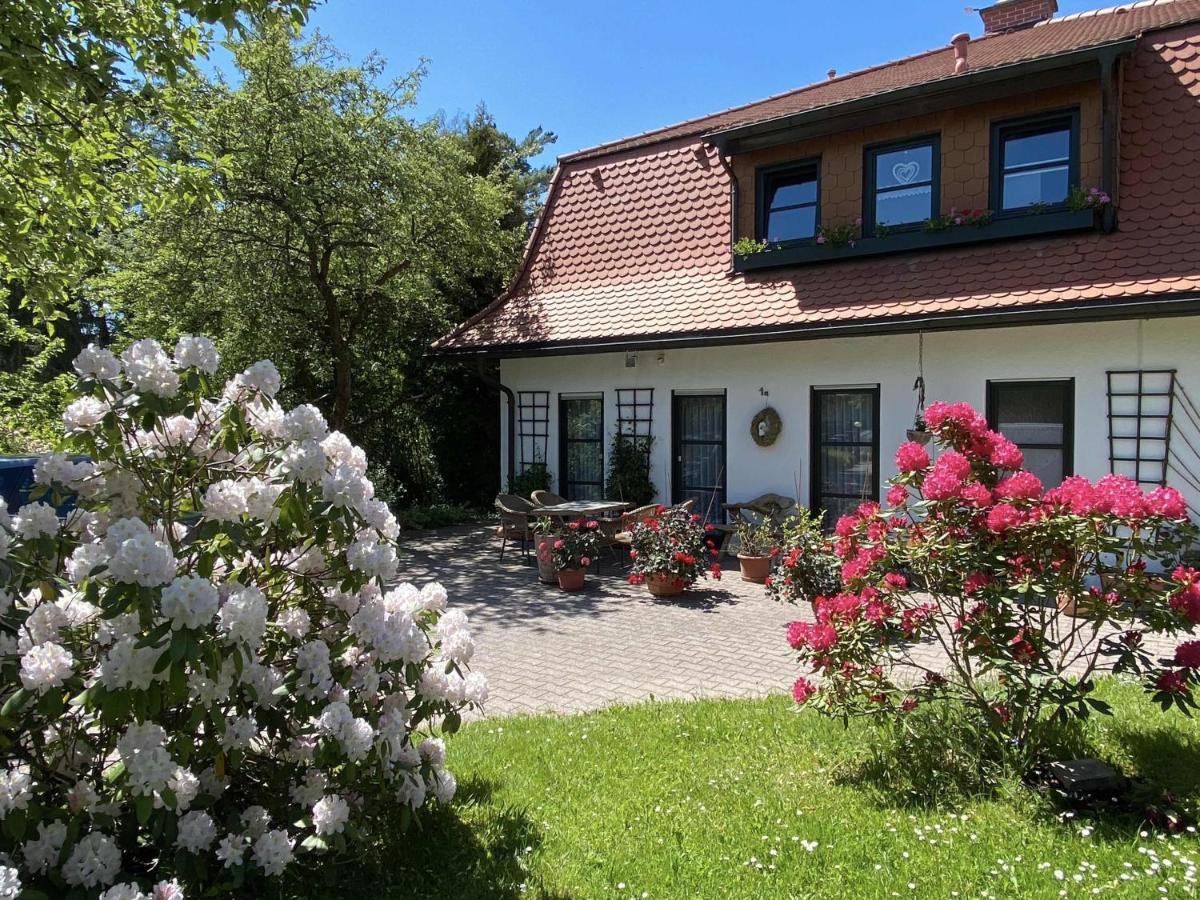 Ferienwohnungen Elsterblick Bad Elster Exterior foto