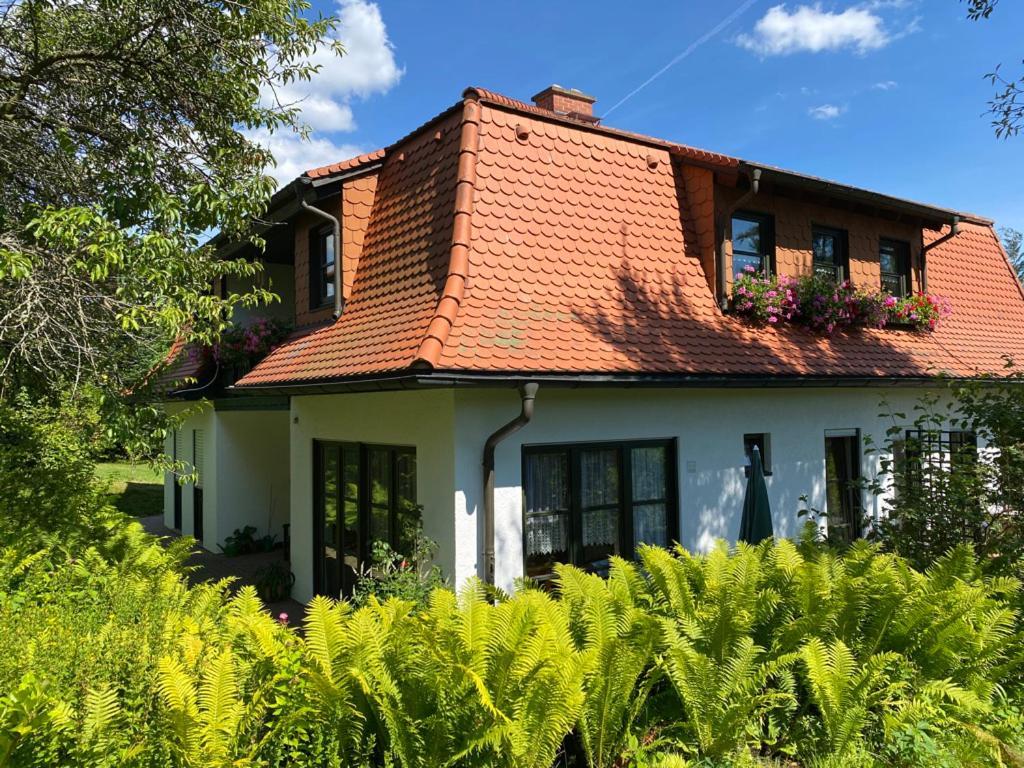 Ferienwohnungen Elsterblick Bad Elster Exterior foto